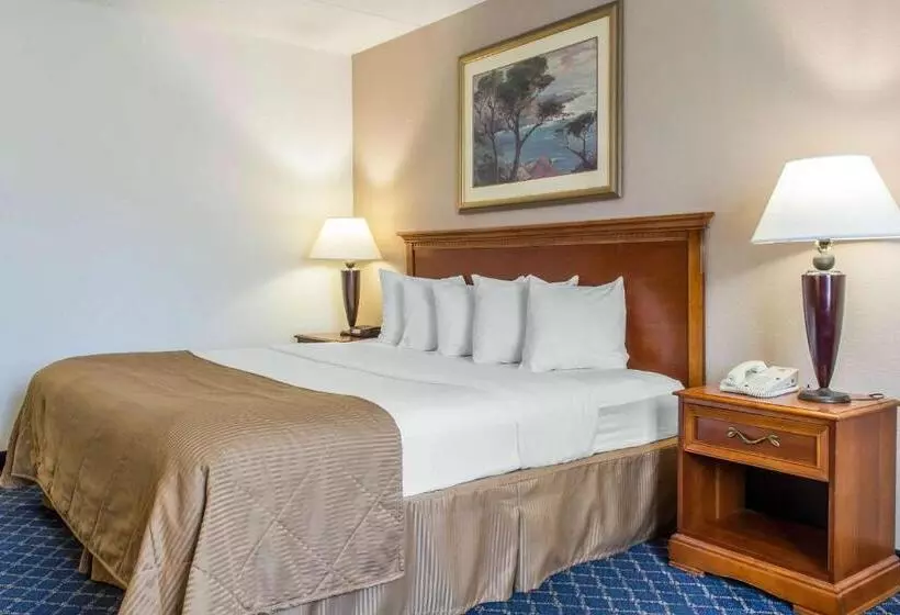اتاق استاندارد با تخت بزرگ, Clarion Hotel & Conference Center