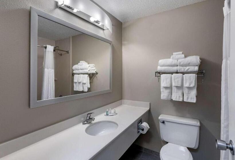 חדר סטנדרט, Clarion Inn Sheffield Muscle Shoals