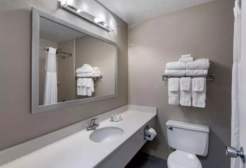 Standard-huone, Clarion Inn Sheffield Muscle Shoals