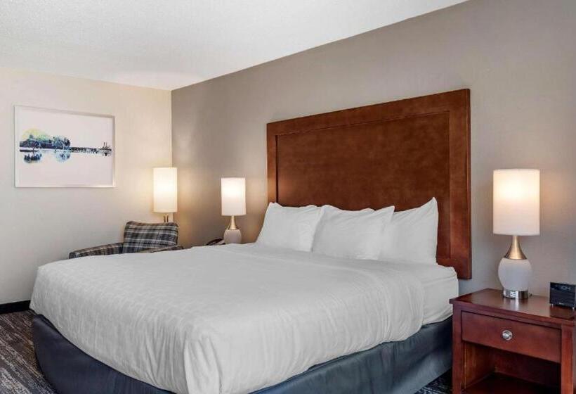 חדר סטנדרט עם מיטת קינג, Clarion Inn Sheffield Muscle Shoals