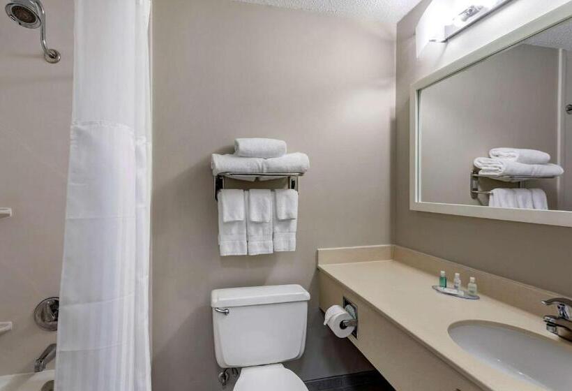 Номер Стандарт Кровать Кинг Адаптированный для Инвалидов, Clarion Inn Sheffield Muscle Shoals