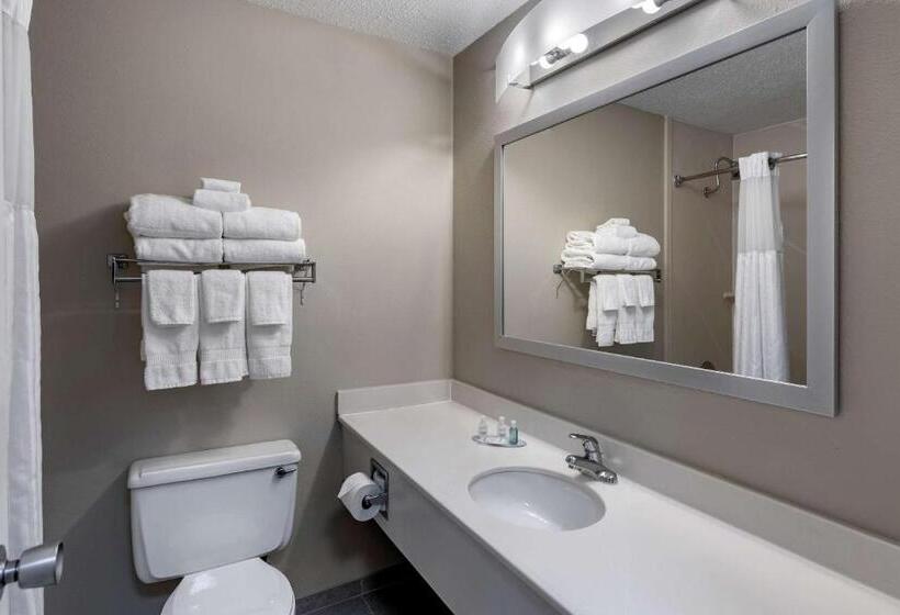 חדר סטנדרט עם מיטת קינג, Clarion Inn Sheffield Muscle Shoals