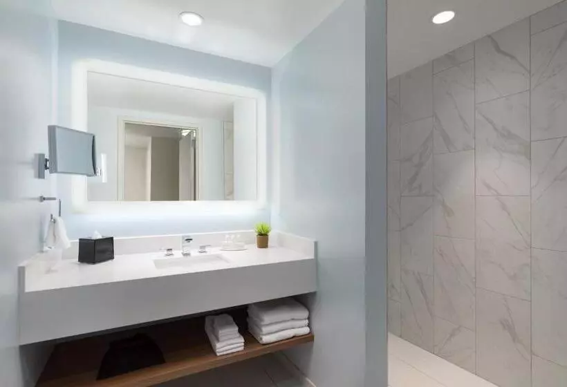 اتاق لوکس با تخت بزرگ, Courtyard By Marriott Boston Cambridge