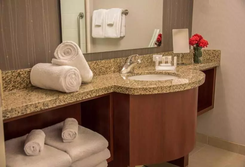 キングサイズベッドのスタンダードルーム, Courtyard By Marriott Bethesda Chevy Chase