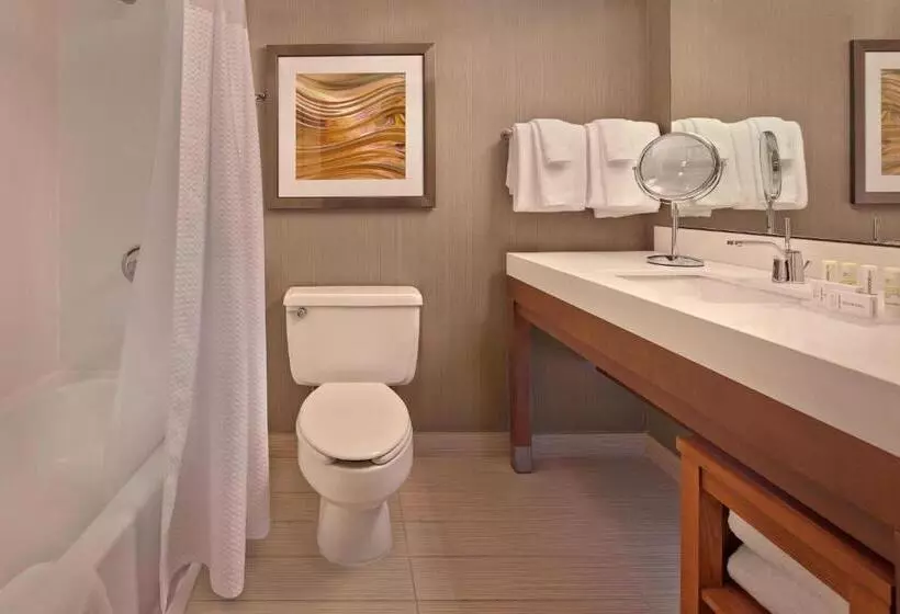 اتاق استاندارد با تخت بزرگ, Courtyard By Marriott Philadelphia City Avenue