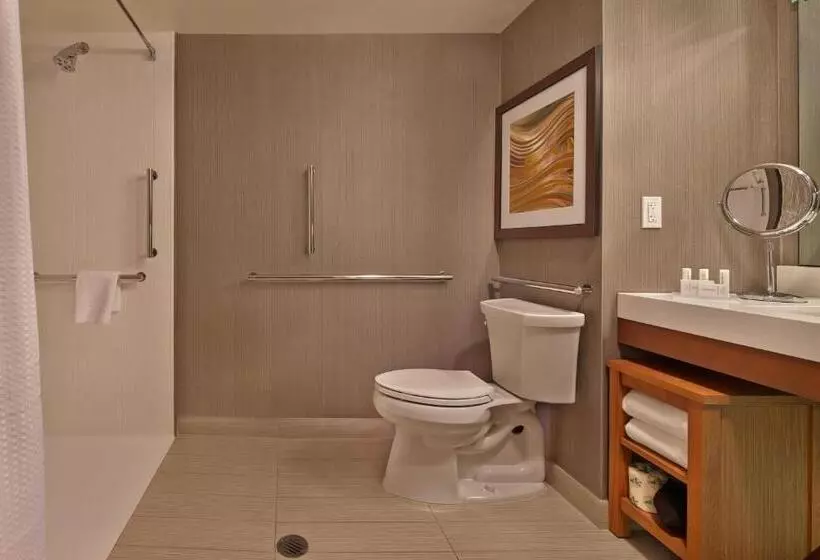 اتاق استاندارد با تخت بزرگ, Courtyard By Marriott Philadelphia City Avenue