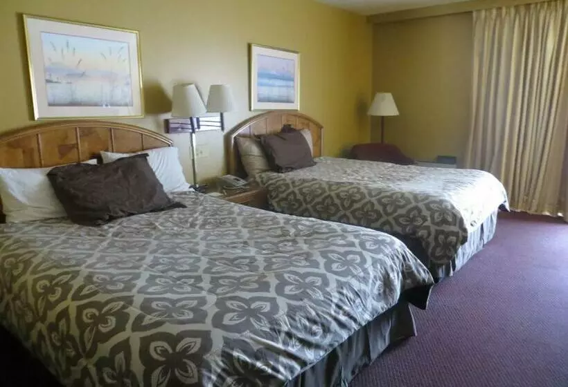 スタンダードルーム, Days Inn By Wyndham Colorado Springs/garden Of The Gods