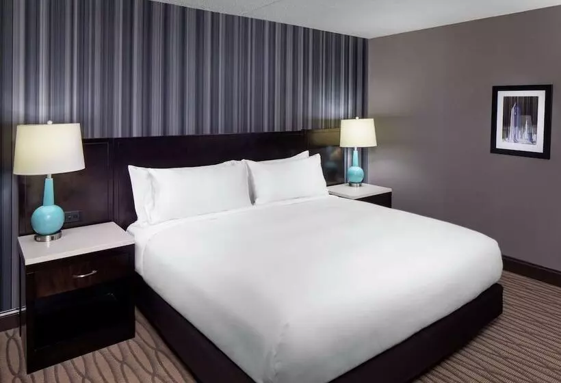 ダブルベッドスタンダードルーム, Wyndham Garden Westlake