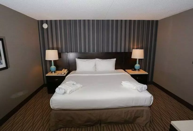 ダブルベッドスタンダードルーム, Wyndham Garden Westlake