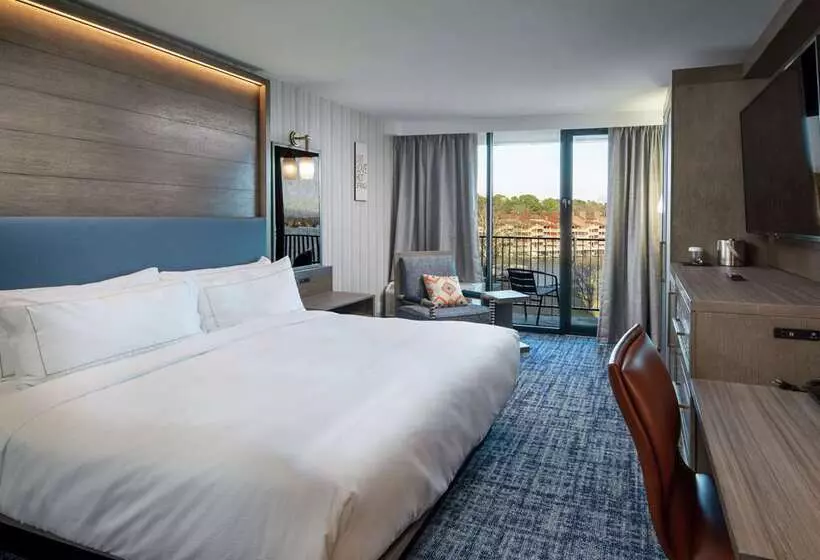 اتاق استاندارد با تخت بزرگ, Doubletree By Hilton Hot Springs