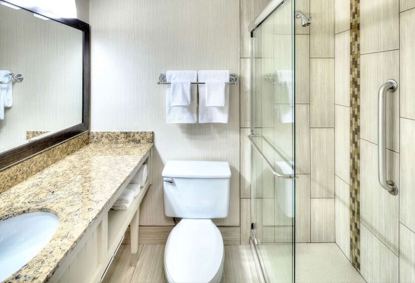 Номер Deluxe, Doubletree By Hilton Madison Downtown