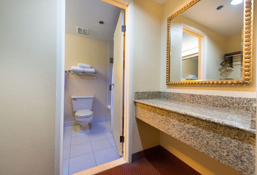 스탠다드 룸, Greentree Hotel Phoenix West
