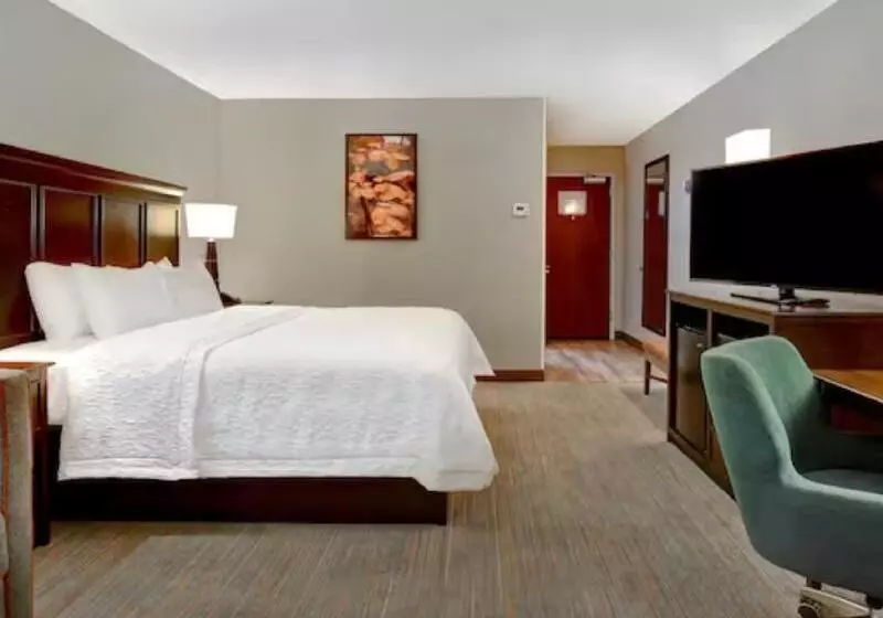 اتاق استاندارد با تخت بزرگ, Hampton Inn & Suites Alexandria Old Town Area South