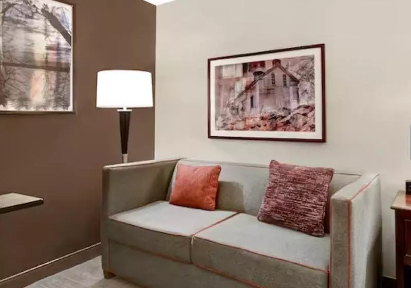 اتاق استاندارد با تخت بزرگ, Hampton Inn & Suites Alexandria Old Town Area South
