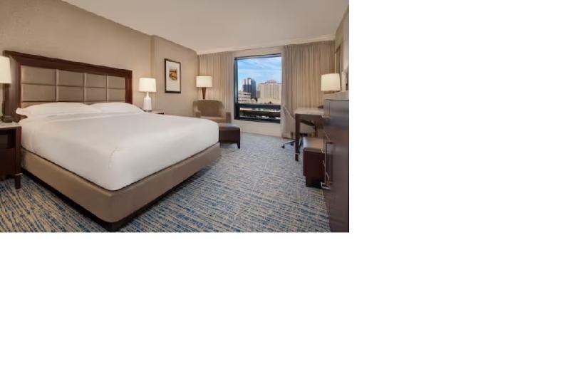 스탠다드 룸 킹사이즈 침대, Hilton Tampa Downtown
