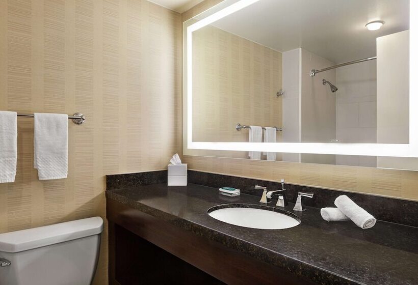 غرفه قياسيه سريرين مزدوجين, Hilton Tampa Downtown