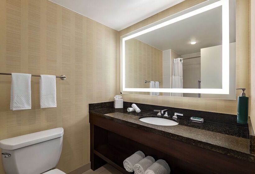 غرفه قياسيه سريرين مزدوجين, Hilton Tampa Downtown