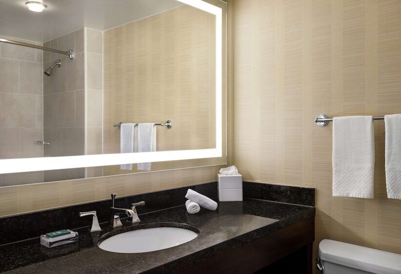 스탠다드 룸 더블 침대, Hilton Tampa Downtown