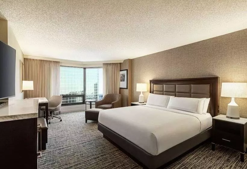 ダブルベッドスタンダードルーム, Hilton Tampa Downtown