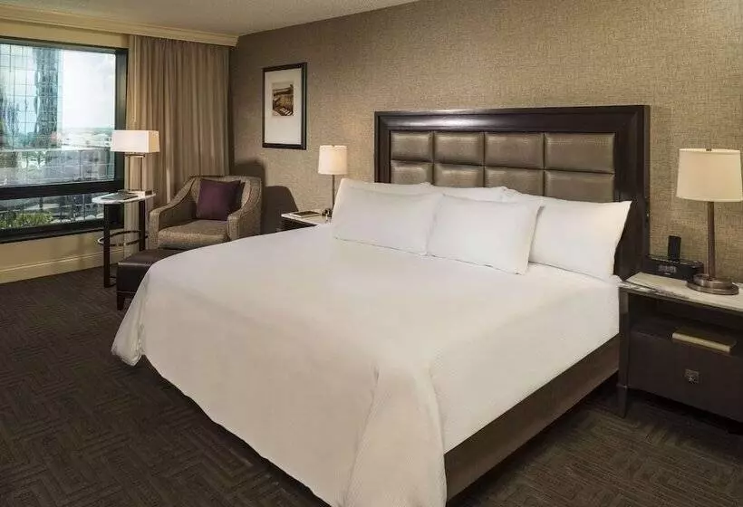 ダブルベッドスタンダードルーム, Hilton Tampa Downtown