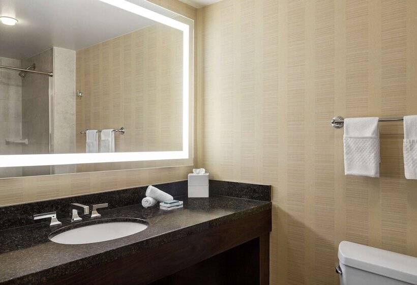 غرفة قياسية سرير مزدوج, Hilton Tampa Downtown