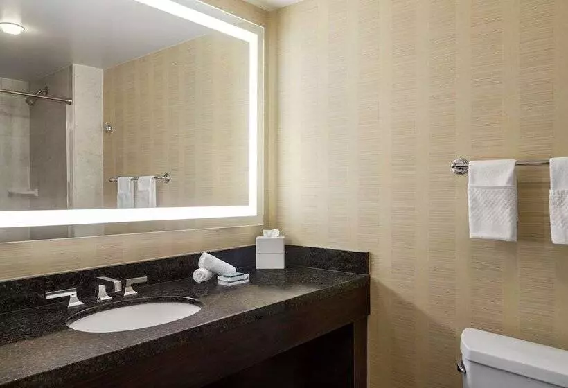 ダブルベッドスタンダードルーム, Hilton Tampa Downtown