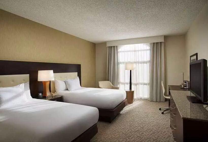２ダブルベッドのスタンダードルーム, Hilton Tampa Downtown