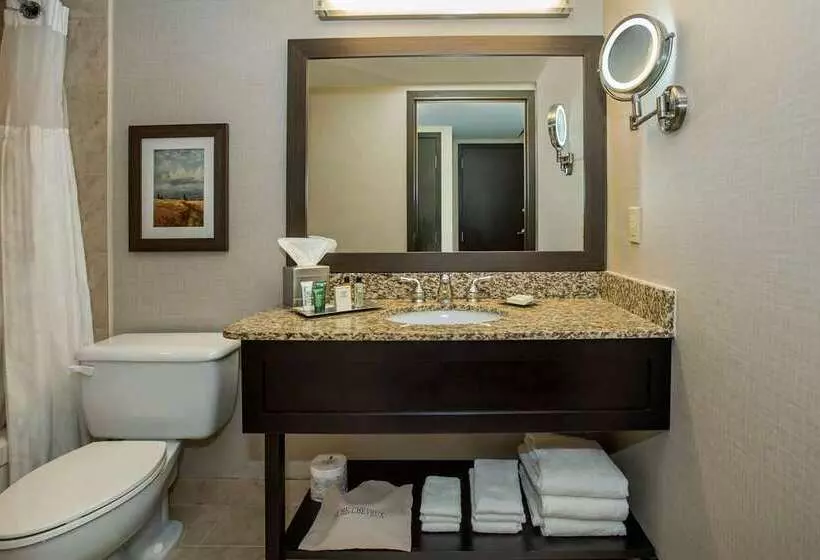 ２ダブルベッドのスタンダードルーム, Hilton Tampa Downtown