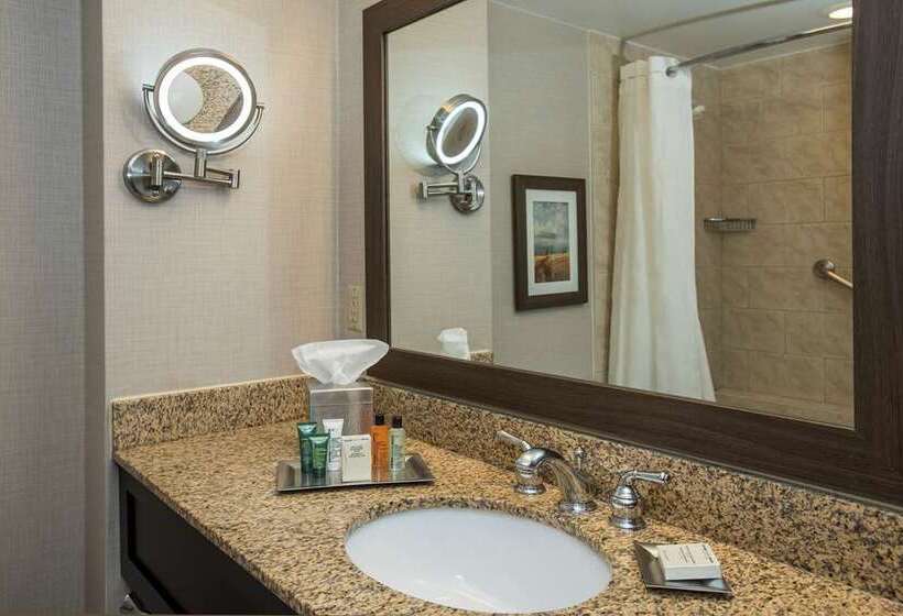 غرفه قياسيه سريرين مزدوجين, Hilton Tampa Downtown