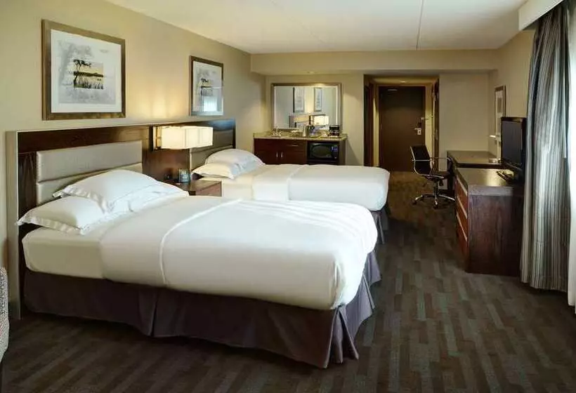 ２ダブルベッドのスタンダードルーム, Hilton Tampa Downtown