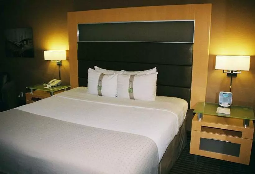 キングサイズベッドのスイートルーム, Holiday Inn Port Arthur   Park Central, An Ihg