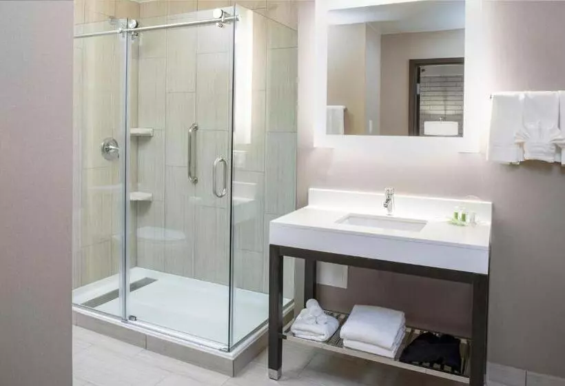 Standard-huone King-vuode, Holiday Inn Chicago Sw Countryside Confctr By Ihg