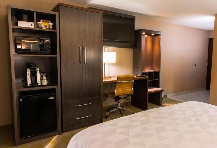 اتاق استاندارد با تخت بزرگ, Holiday Inn Chicago Sw Countryside Confctr By Ihg