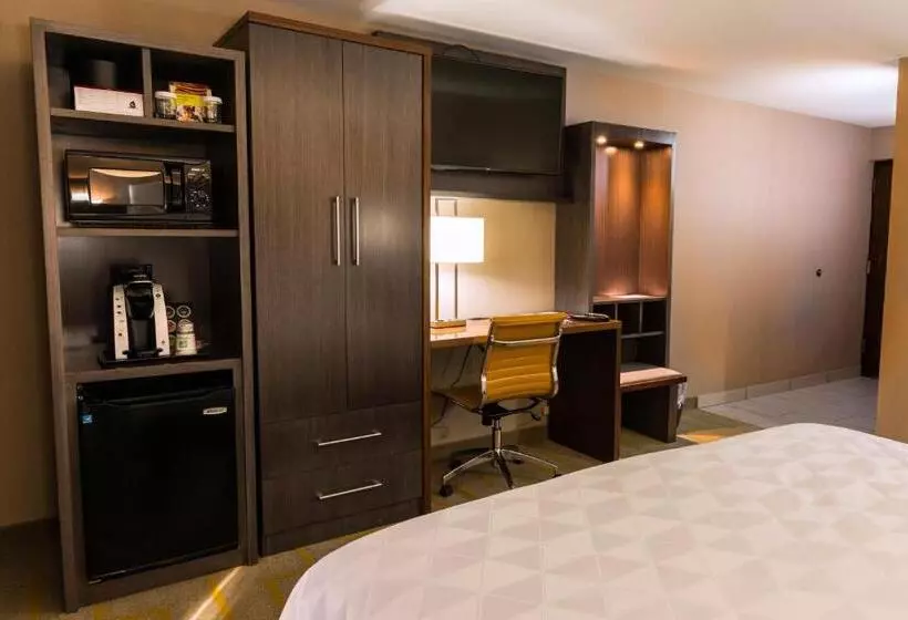 Standard-huone King-vuode, Holiday Inn Chicago Sw Countryside Confctr By Ihg