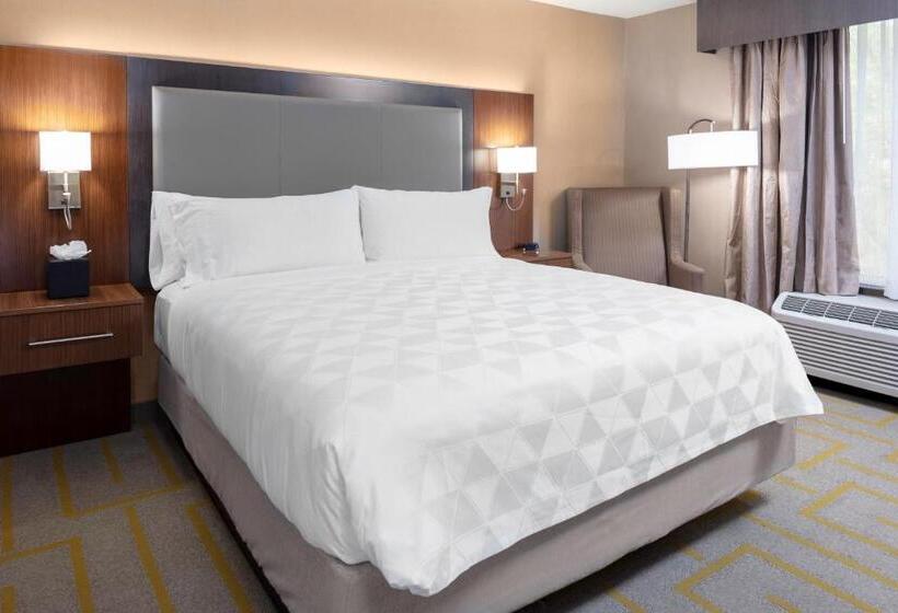 Chambre Standard Lit King Size Adaptée aux Personnes à Mobilité Réduite, Holiday Inn Chicago Sw Countryside Confctr By Ihg