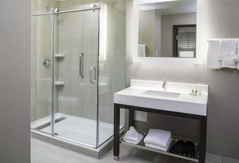 Standard-huone, Holiday Inn Chicago Sw Countryside Confctr By Ihg
