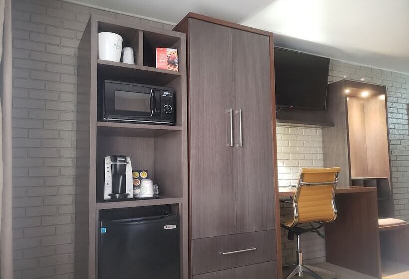 اتاق استاندارد, Holiday Inn Chicago Sw Countryside Confctr By Ihg