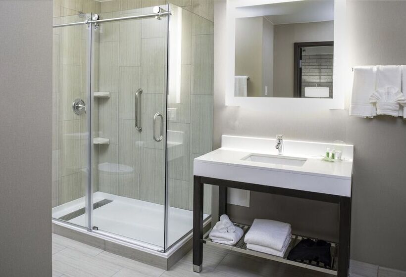 سوییت, Holiday Inn Chicago Sw Countryside Confctr By Ihg