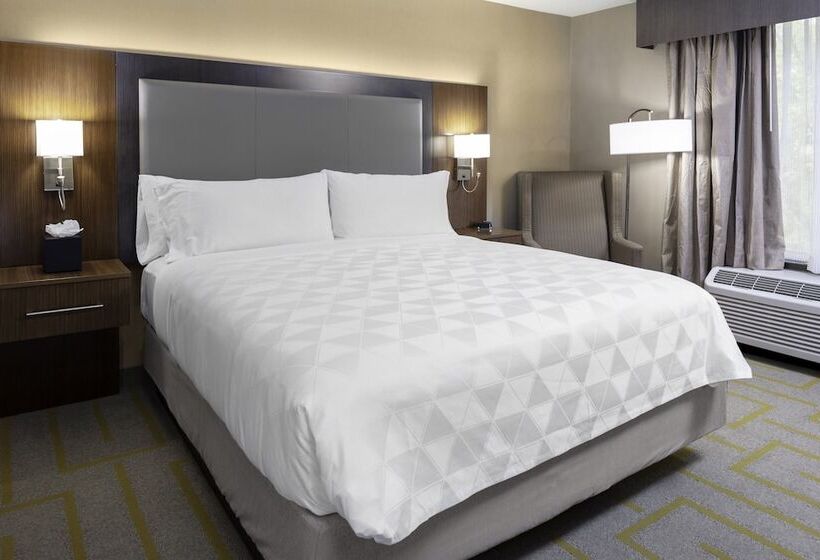 سوییت, Holiday Inn Chicago Sw Countryside Confctr By Ihg