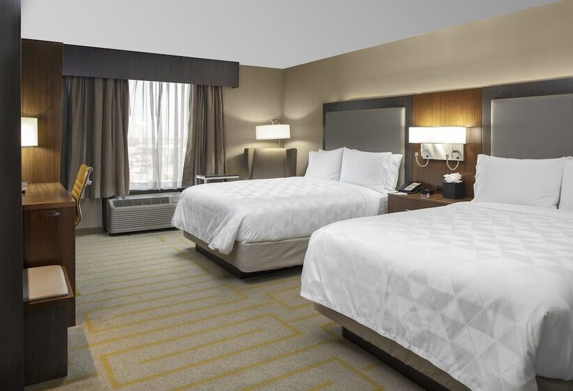 سوییت, Holiday Inn Chicago Sw Countryside Confctr By Ihg