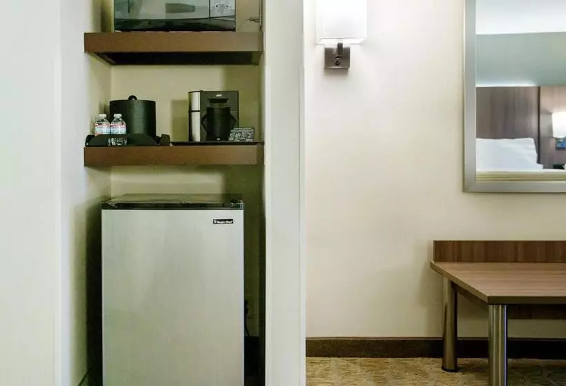 اتاق اجرایی با تخت بزرگ, Holiday Inn Nashville Vanderbilt, An Ihg