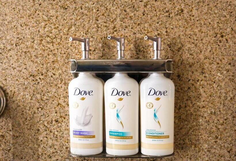 اتاق اجرایی با تخت بزرگ, Holiday Inn Nashville Vanderbilt, An Ihg