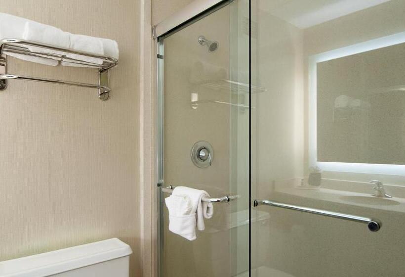 اتاق استاندارد با تخت بزرگ, Holiday Inn Nashville Vanderbilt, An Ihg