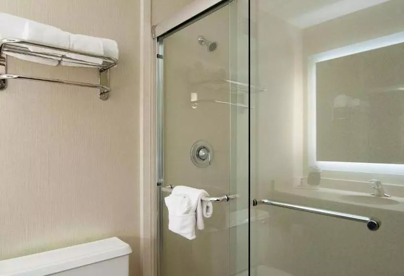 اتاق استاندارد با چشم‌انداز پارک, Holiday Inn Nashville Vanderbilt, An Ihg