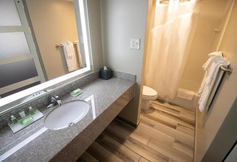 اتاق استاندارد با تخت بزرگ, Holiday Inn Scranton East Dunmore, An Ihg