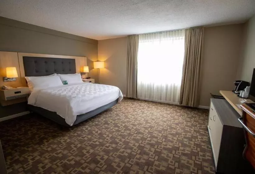 身障者適用キングサイズベッドルーム, Holiday Inn Scranton East   Dunmore, An Ihg