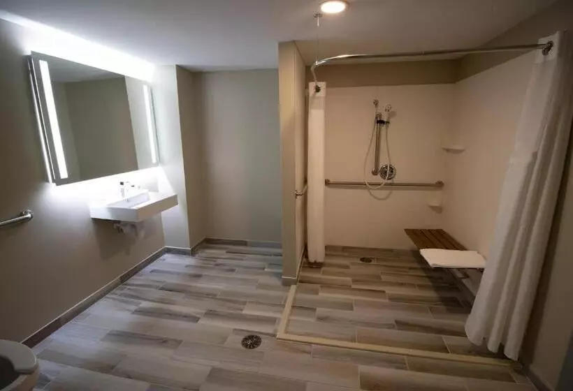 身障者適用キングサイズベッドルーム, Holiday Inn Scranton East   Dunmore, An Ihg