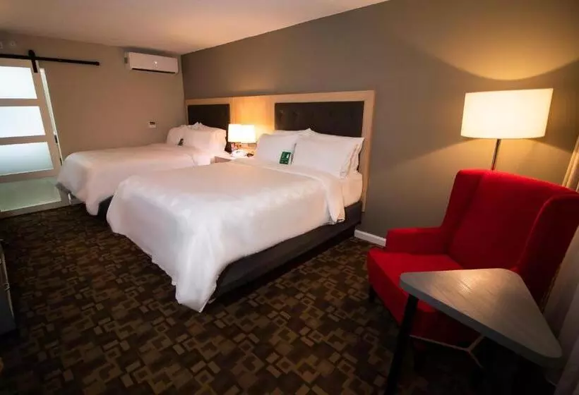 身障者適用スタンダードルーム, Holiday Inn Scranton East   Dunmore, An Ihg