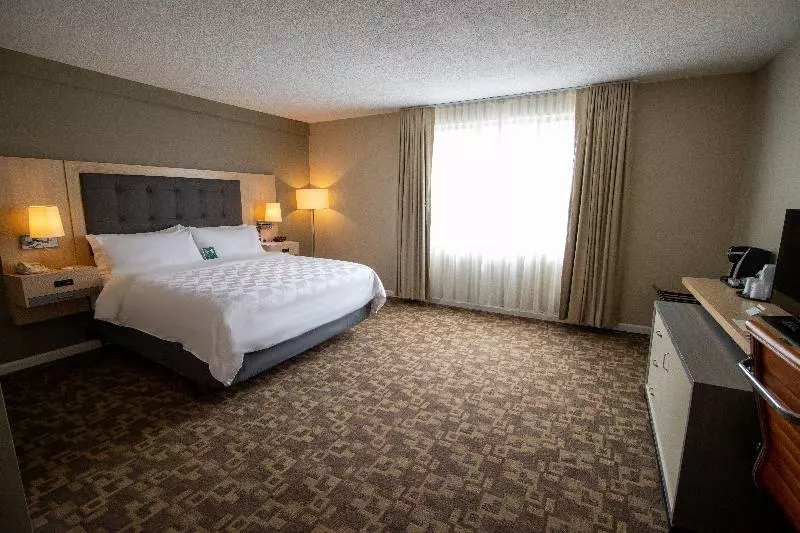 身障者適用キングサイズベッドルーム, Holiday Inn Scranton East   Dunmore, An Ihg