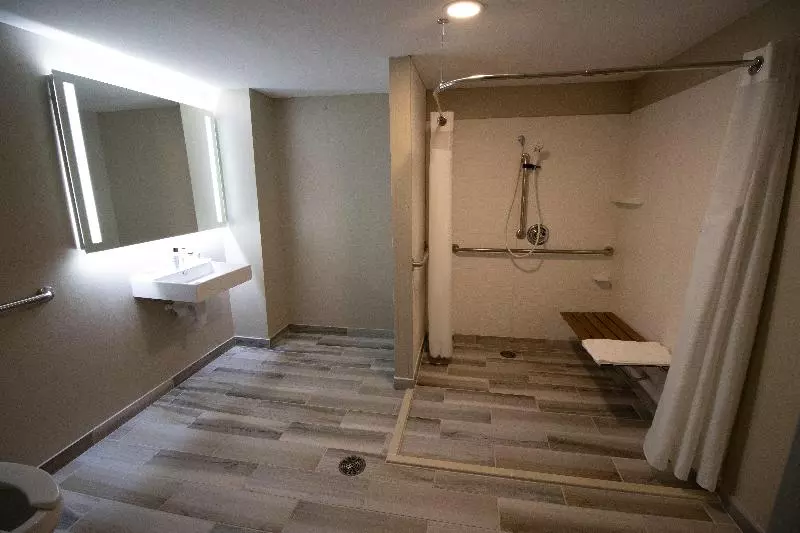身障者適用キングサイズベッドルーム, Holiday Inn Scranton East   Dunmore, An Ihg